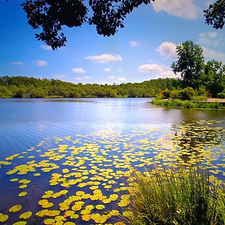 Vacances Dans Les Landes Aureilhan  Exterior photo